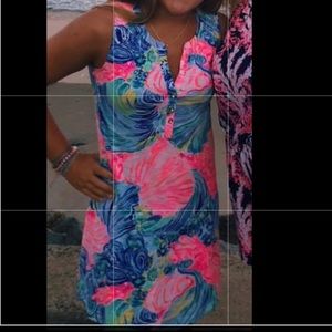 Lilly Pulitzer dress